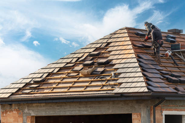 Best Asphalt Shingle Roofing  in Darby, PA